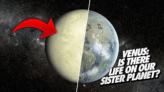 The Case For Life On Venus