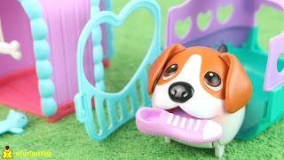 Coleção au au Pets Beagle FunToysKids