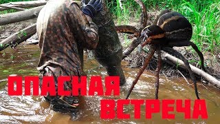 Чудовище и опасные находки на Железной реке металлоискатель и  // Юрий Гагарин