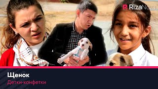 Детки-конфетки - Щенок