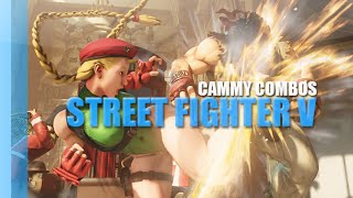 LCD Does Cammy Combos (Beta #2)