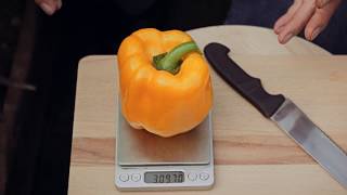 ОБАЛДЕННЫЙ ВКУСНЕЙШИЙ КРУПНЫЙ И УРОЖАЙНЫЙ ПЕРЕЦ ТАВИНЬЯНО F1