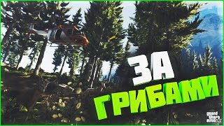 За грибами! - Premier Game #13