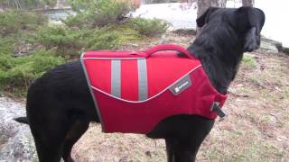 Ruffwear K9 Float Coat dog life jacket review