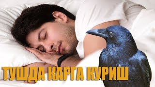Туш табири - тушда карга куриш