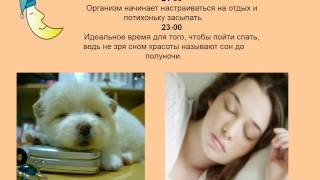 Биологические ритмы организма человека