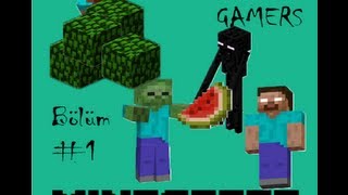 Minecraft Şehir Tanıtım