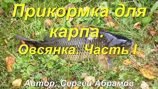 Прикормка для карпа. Овсянка. Часть I.