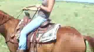 Horseback riding