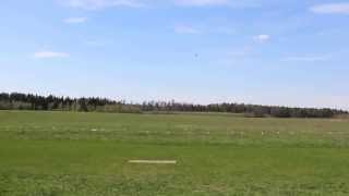 Align T-Rex 450 3GX Crash