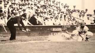 Gallery Showcases Little League World Series