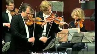 J. S. Bach - Concerto per archi in Re maggiore BWV 1064 - 1. Allegro