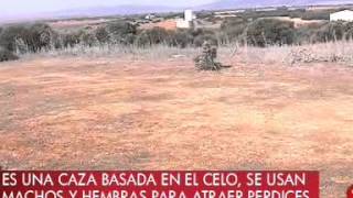 La Tarde Contigo. Caza de Perdiz con reclamo