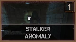 Полевой сотрудник (S.T.A.L.K.E.R. Anomaly) #1