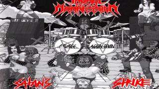 Savage Aggression - Thrash Command (Lyrics - Subtitulos en Español)