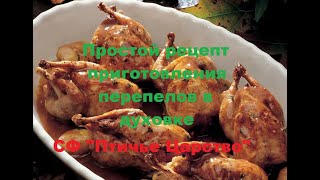 Простой рецепт приготовления перепелов в духовке. Перепела в духовке. Приготовления перепелов.