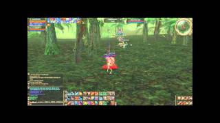 l2 RaidFight PVP SimpleHeaven