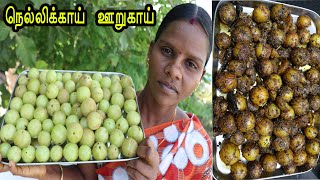 மரணத்தைக்கூட  தள்ளிப்போடும் அற்புத படைப்பு  நெல்லிக்காய் - ஊறுகாய் / Amla pickle