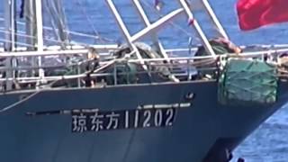 Condemn China's actions about placement oil rig Haiyang Shiyou -- 981 in Vietnam's waters
