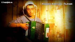 Андрей Алексин - Пьяная (кавер-пародия под гармонь)