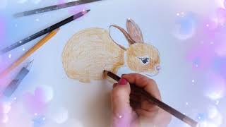 Učíme se kreslit králíka?How to Draw a Rabbit?