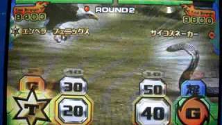 Animal Kaiser - Bald Eagle vs Indian Cobra