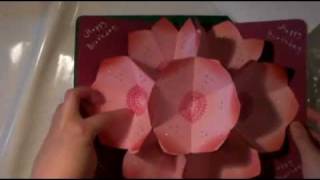 Pop-Up Flower Card
