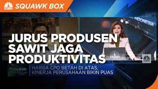 Jurus Produsen Sawit Jaga Produktivitas di Tengah Pergantian Musim