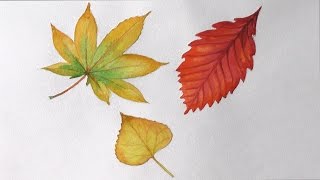 Уроки рисования. Как нарисовать осенние листья деревьев акварелью | Art School