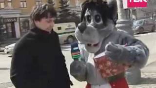 Волк ловит яйца