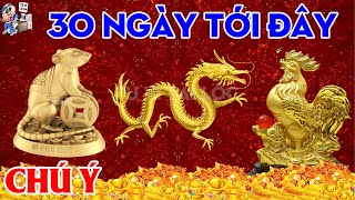 NGHÈO ĐẾN MẤY MÀ THUỘC 3 TUỔI NÀY CŨNG TRÚNG QUẢ ĐỘC ĐẮC TIỀN TỶ GIÀU TO ÔM TIỀN QUYỂN | TVTL
