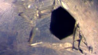 3 phase inclusion in Sri Lanka Sapphire wmv
