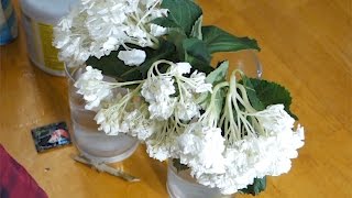 Как оживить мертвые цветы?