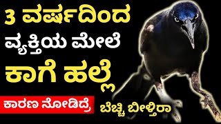 3 ವರ್ಷದಿಂದ ವ್ಯಕ್ತಿಯ ಮೇಲೆ ಕಾಗೆ ಹಲ್ಲೆದ್ವೇಷ  ಕಾರಣ ನೋಡಿದ್ರೆ ಬೆಚ್ಚಿ ಬೀಳ್ತಿರಾ  #blackcrow
