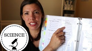 HOMESCHOOL DUPES- SCIENCE- TRY THIS $ Vs THAT $$