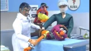 Robot Chicken: "Behind the Music - The Muppets"