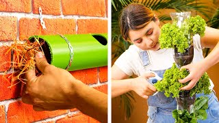 Smart Gardening Tips And Clever Plant Hacks