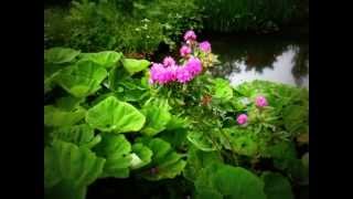 English parks and gardens: Dunsborough park. Английские парки и сады