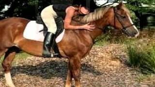 WOMAN RIDING HORSE
