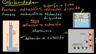 Capilaridad. 1