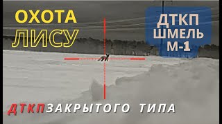 Охота на Лису. Автомобильный тепловизор NV-2. Тест ДТКП "Шмель". АР-15, CZ 223rem.