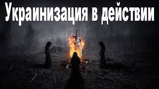 Слышат русскую речь - пишут доносы и жалобы