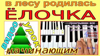 В лесу родилась Ёлочка~Играть пиано-синтезатор~урок пошагово(текст)