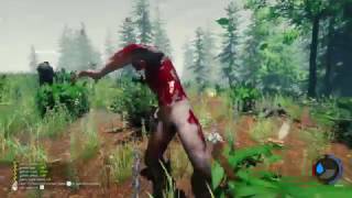 The Forest 0.59b - Dedicated Server (raw gameplay)