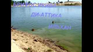 "КОЛДОВСКОЕ ОЗЕРО" для СОБАК в Марусино!