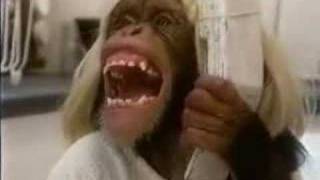 Monkey-Ed Movie: Scream