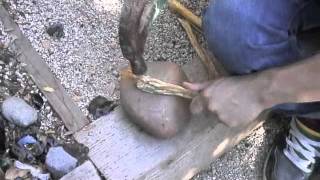 Klamath Style Yew-Bow