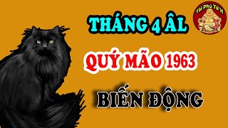 Tử Vi Tháng 4 Âm Lịch Quý Mão 1963 May Mắn, Giàu Có Hay Biến Động Ra Sao?