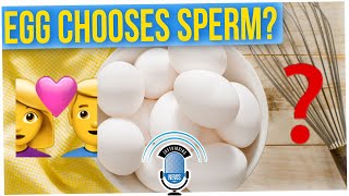 A Woman's EGGS Choose the Sperm During Conception!? (ft. Tim Chantarangsu)