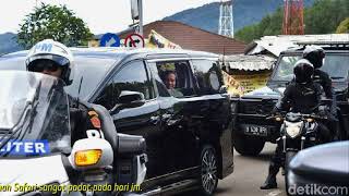 Ke Taman Safari, Mobil Rombongan Jokowi 'Dicegat' Harimau